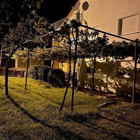 Entire 1-Bedroom Apartment With Free Parking Podgoriţa Exterior foto