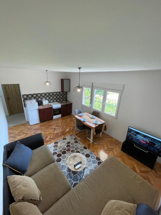 Entire 1-Bedroom Apartment With Free Parking Podgoriţa Exterior foto