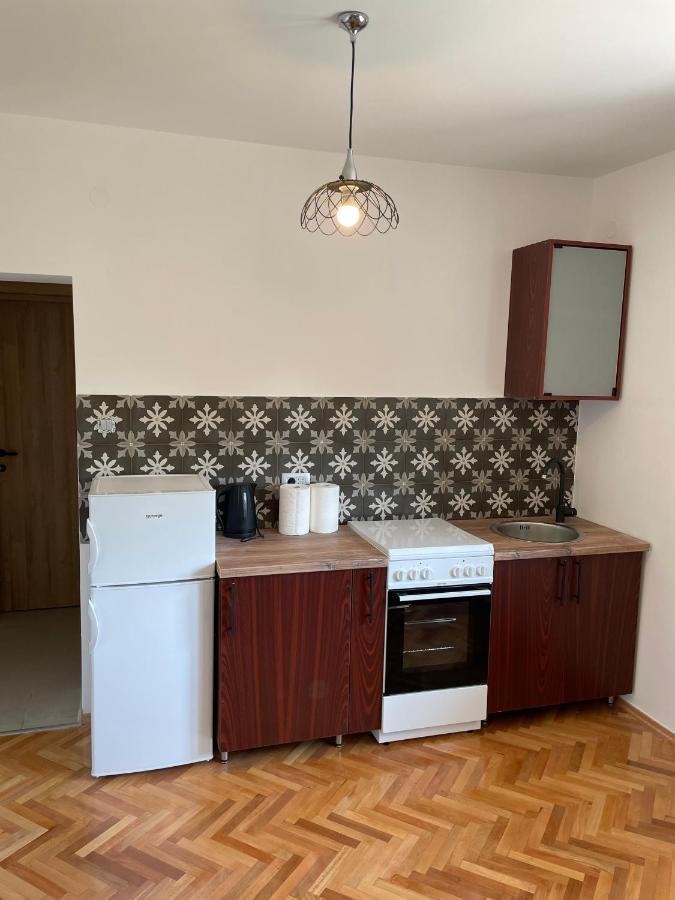 Entire 1-Bedroom Apartment With Free Parking Podgoriţa Exterior foto